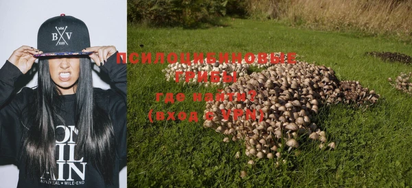 стафф Нягань