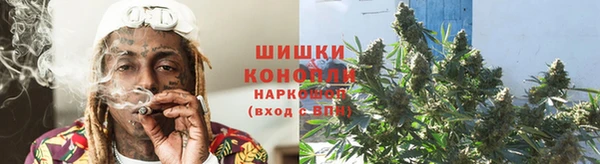 хмурый Няндома