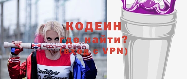 хмурый Няндома