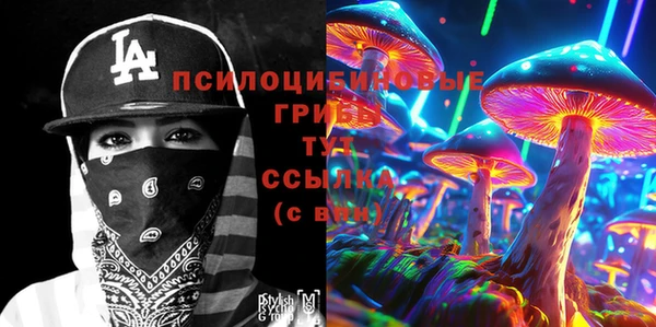 хмурый Няндома