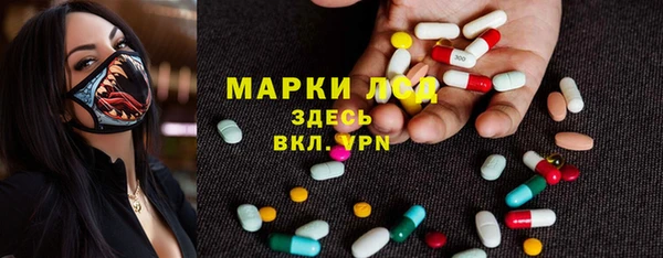 хмурый Няндома
