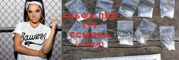 хмурый Няндома