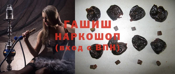 хмурый Няндома