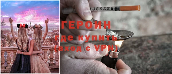 хмурый Няндома