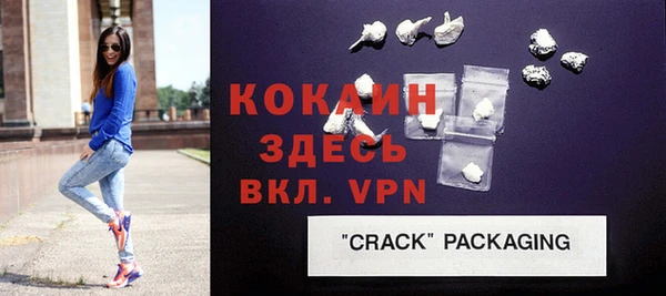 хмурый Няндома