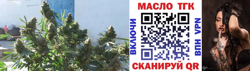 дарнет шоп Нестеровская мега ТОР Дистиллят ТГК THC oil